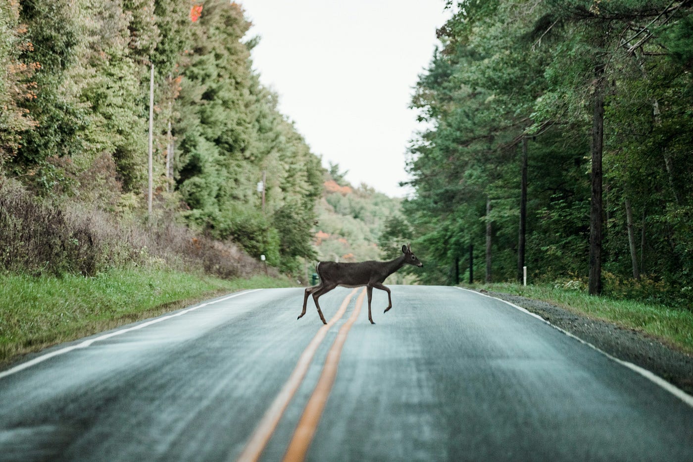 Photo by Donnie Rosie on Unsplash