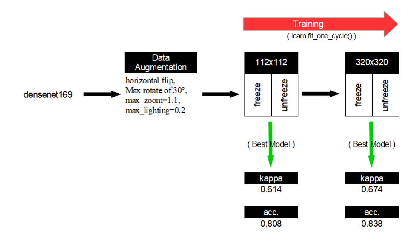 2/2) Fastai, the new radiology tool | by Pierre Guillou | Medium