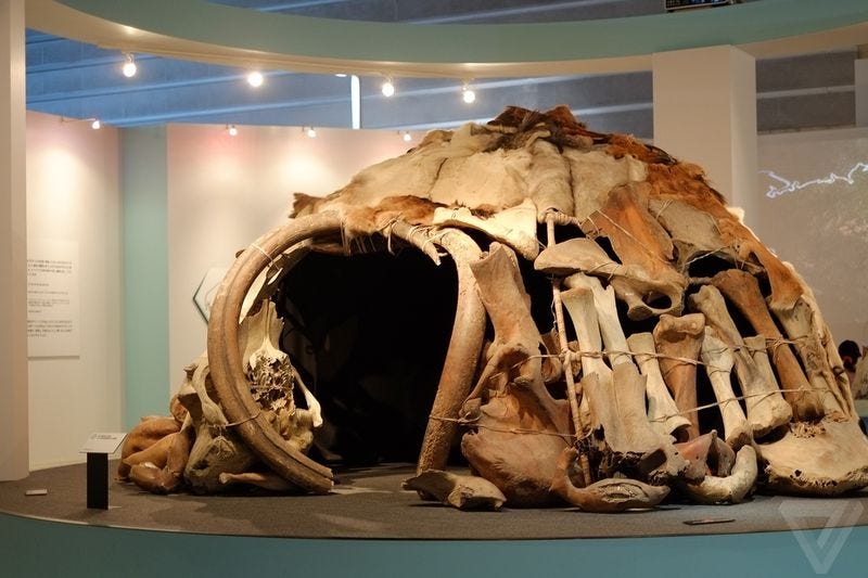 கம்பளி மாமோத் யானையின் எலும்பு & தந்த வீடு (Woolly Mammoth Bone & Ivory House Article in Tamil) - பேரா. சோ. மோகனா | மாமோத் யானை தந்தம்
