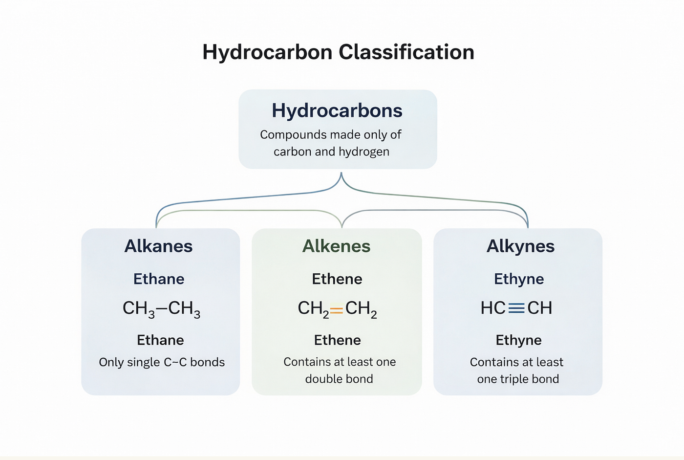 Hydrocarbons: The Backbone of Organic Chemistry
