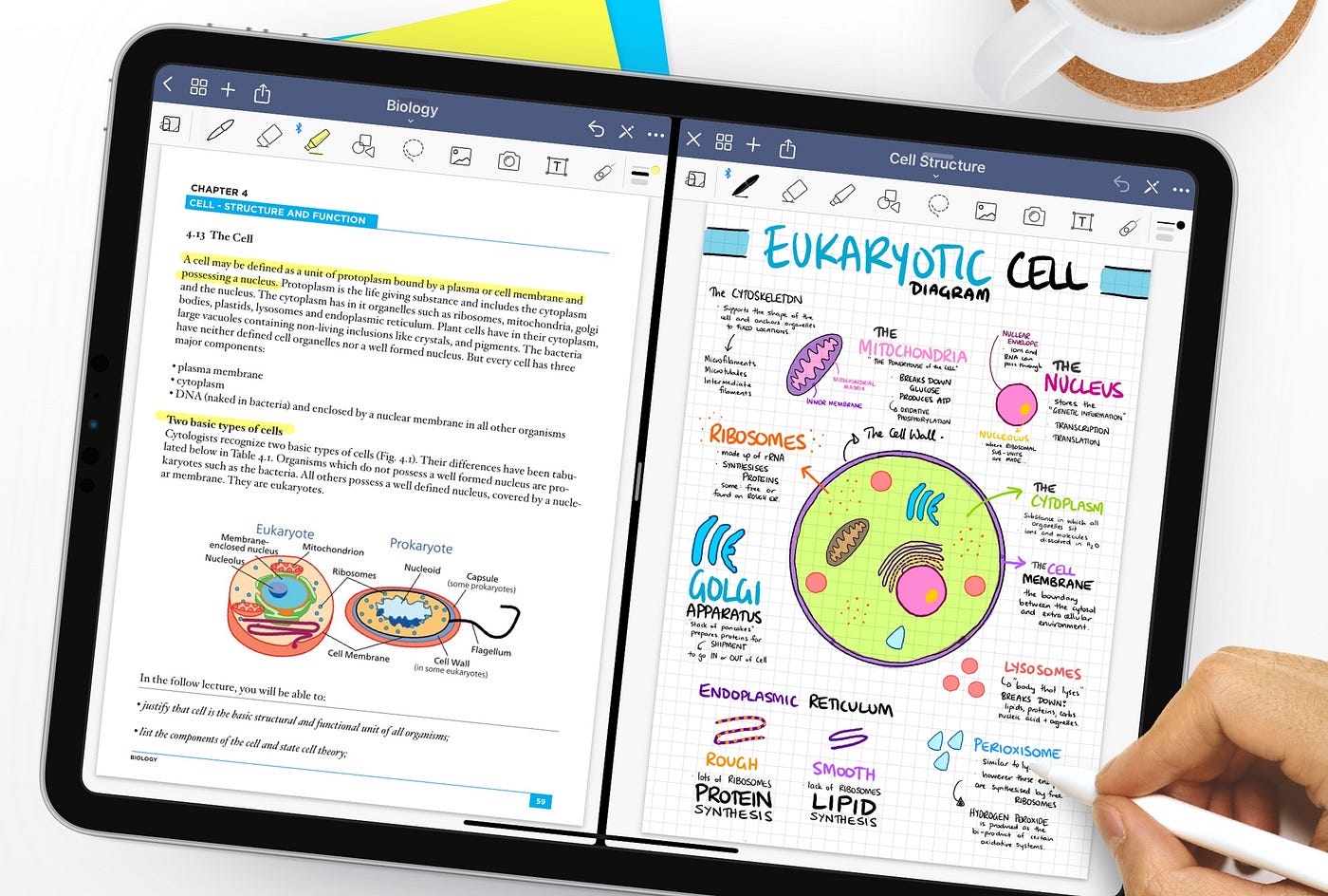 GoodNotes 5.3 for iPadOS — Introducing multiple window support, Dark Mode,  and OCR document scanning | by GoodNotes | GoodNotes Blog | Medium