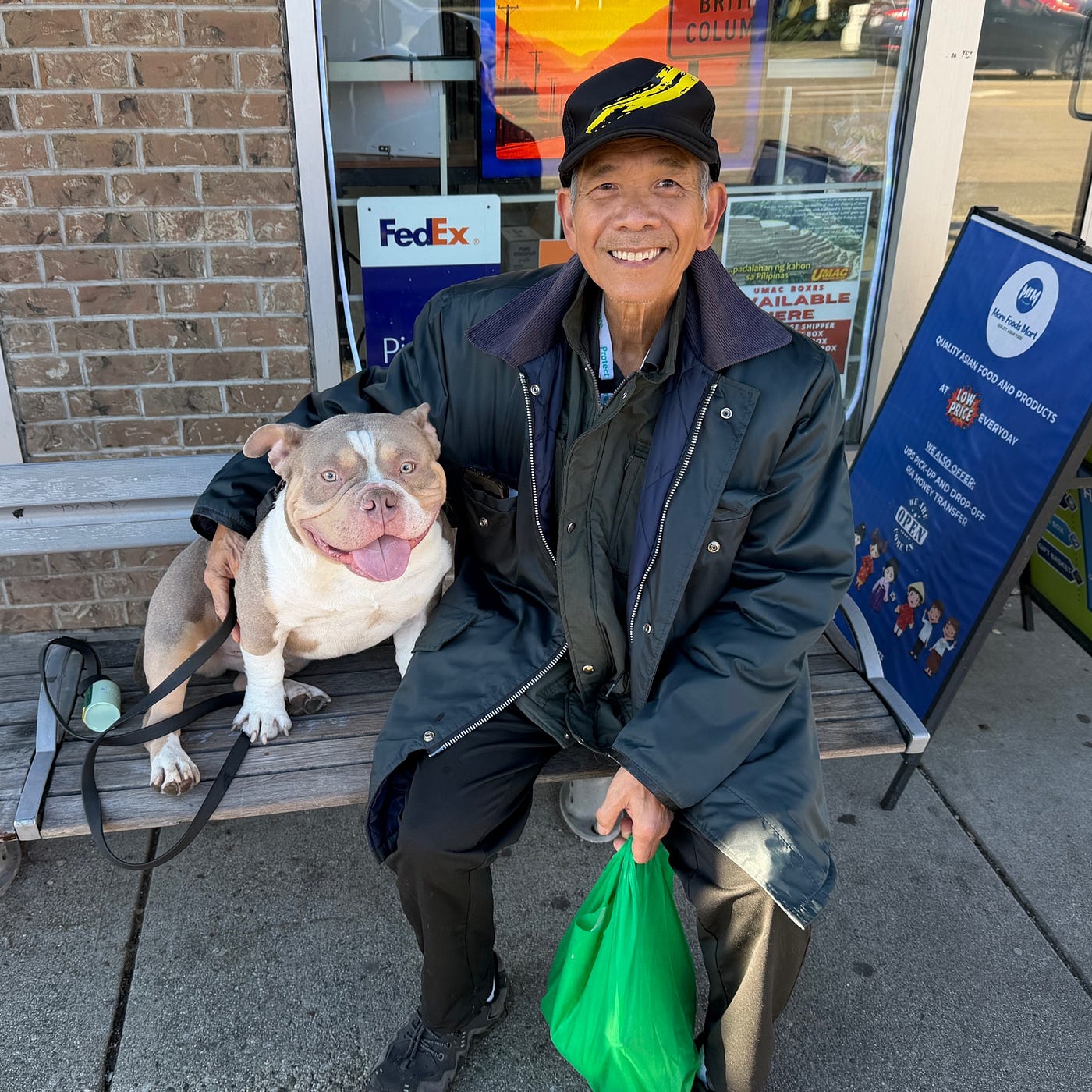 Lilac Tri Pocket American Bully Thriving in Vancouver | Southeast Bully Kennels