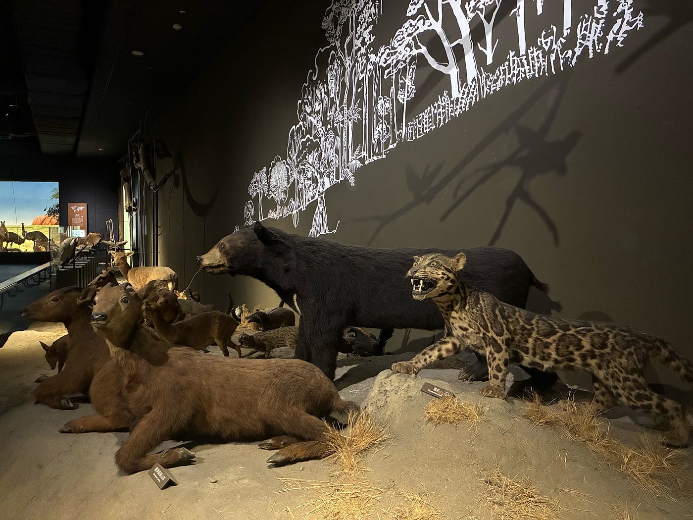 我尤其喜歡在展廳一方特設的台灣原生動物區,讓國外遊客更認識台灣之餘,也可讓國人更為孕育自己的這片土地自豪,同時警醒所有人對環境生態的關注