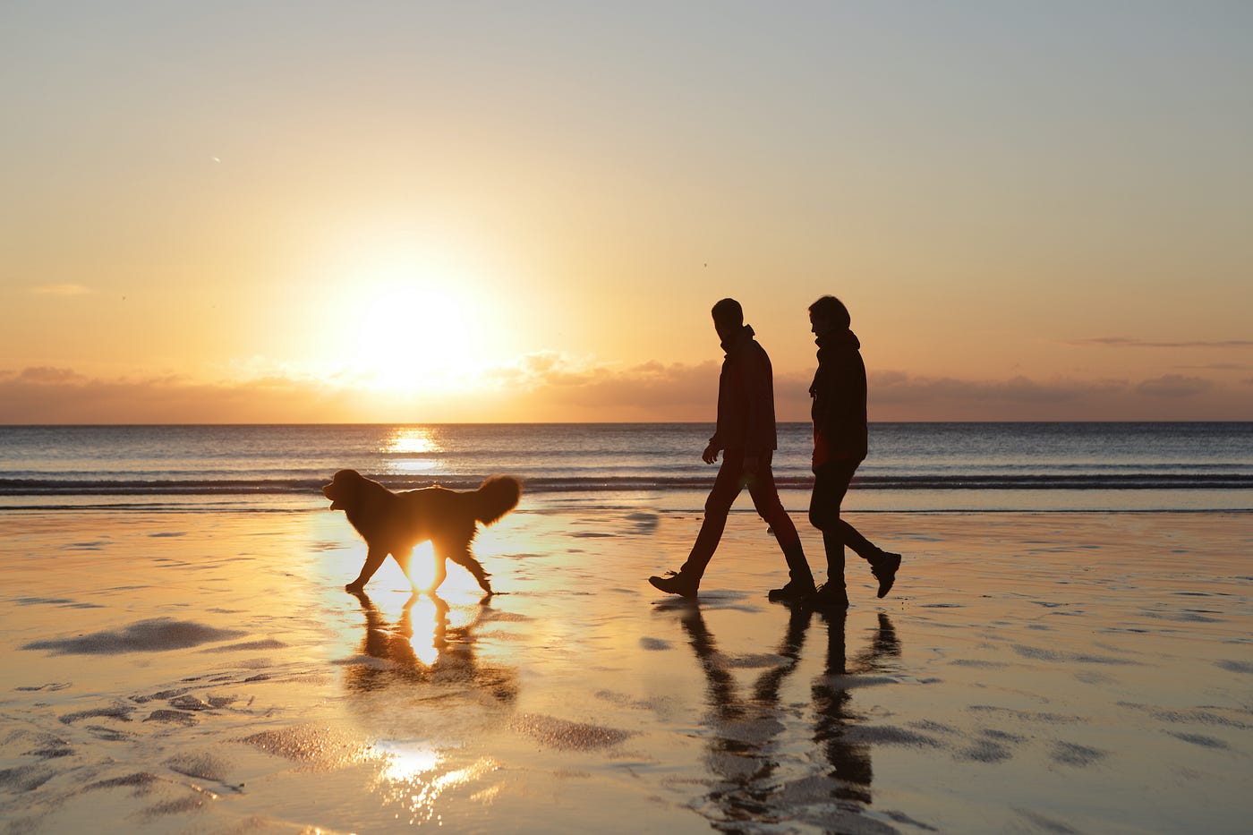 Two people walking a dog on a beach, backlit by the setting sun.