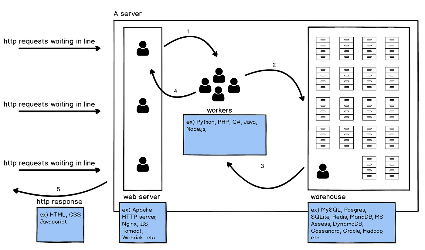 Basic concepts of web applications, how they work and the HTTP protocol 