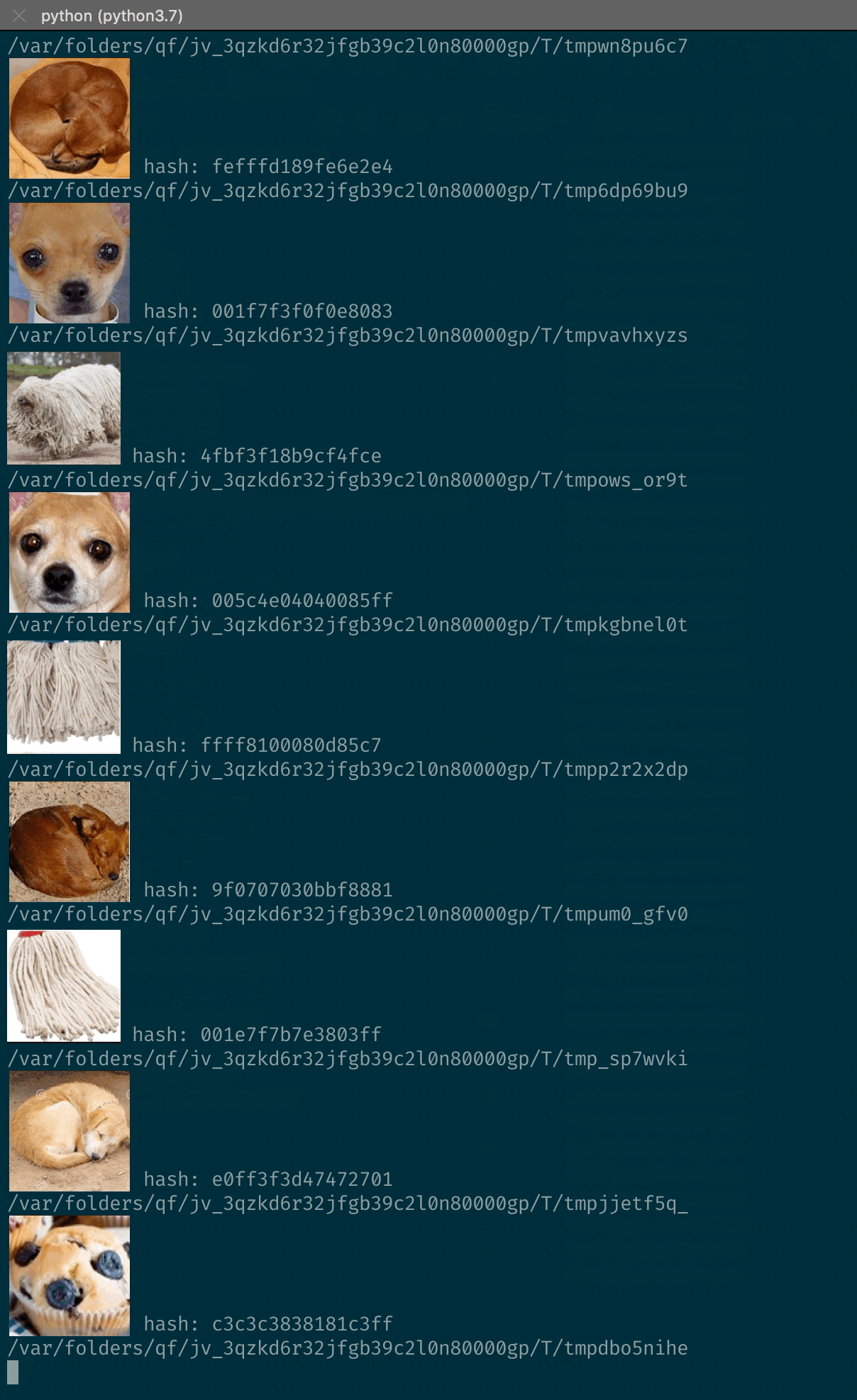 CTF Write-Up :: Categorizing images in Python | by Marc-Antoine Aubé |  poka-techblog | Medium