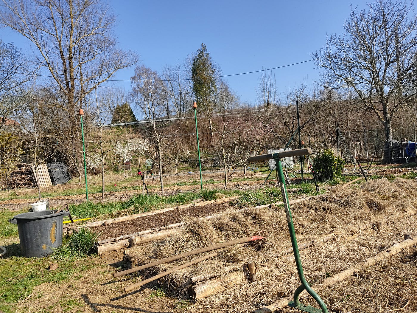 Pourquoi j’ai choisi de ne pas tout faire dans mon potager