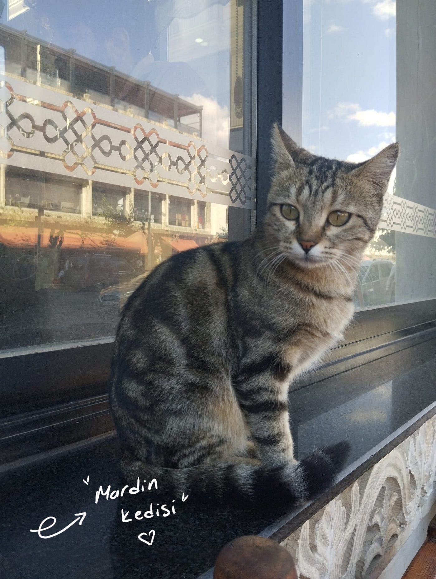 Son Zamanlarda Hayat