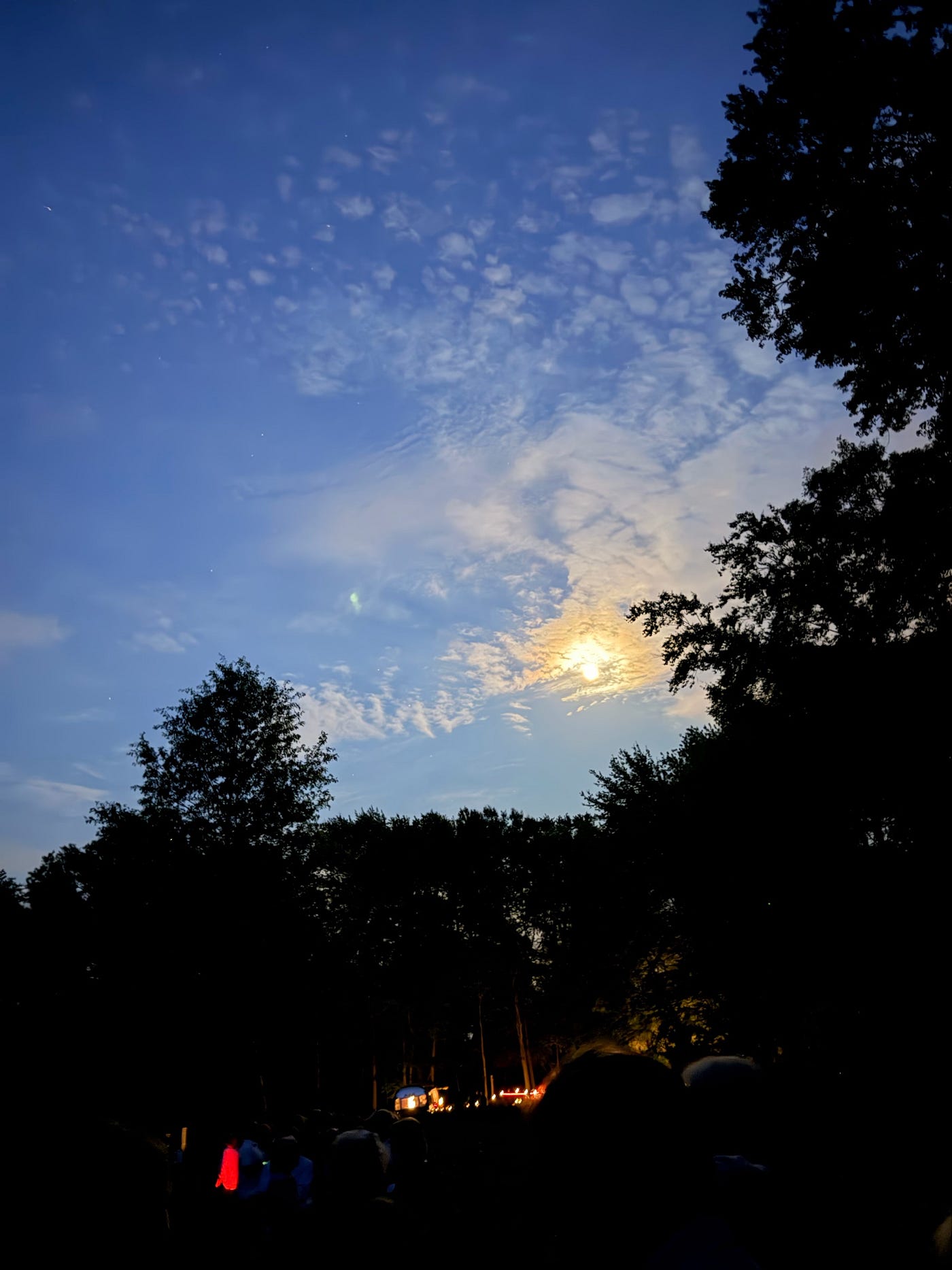 The Last Fireflies