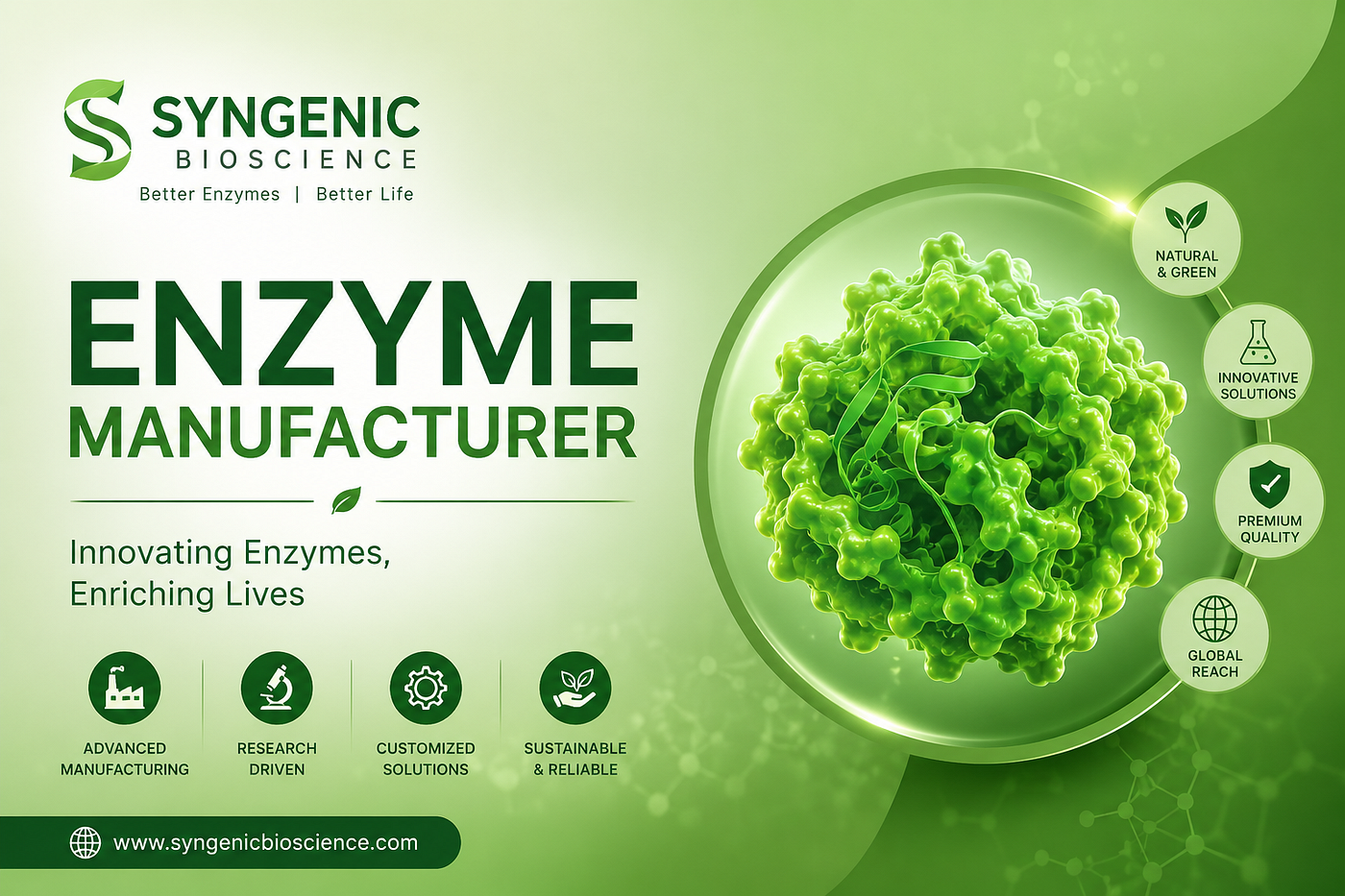 MEnzyme Manufacturer in India