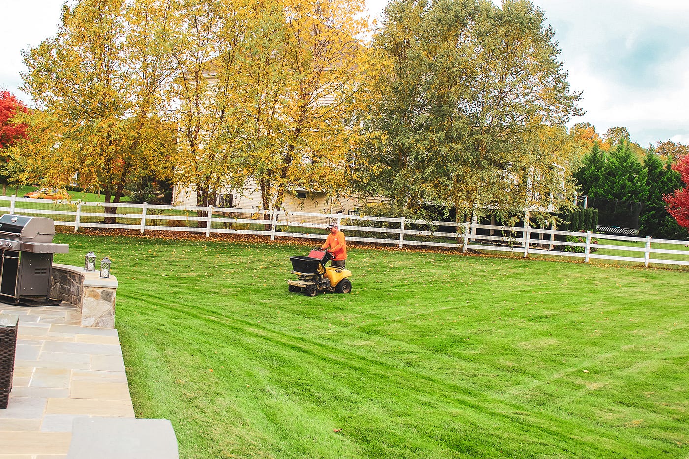 Lawn Care Herndon Homeowners Trust: What to Look for When Searching “Lawn Care Near Me”