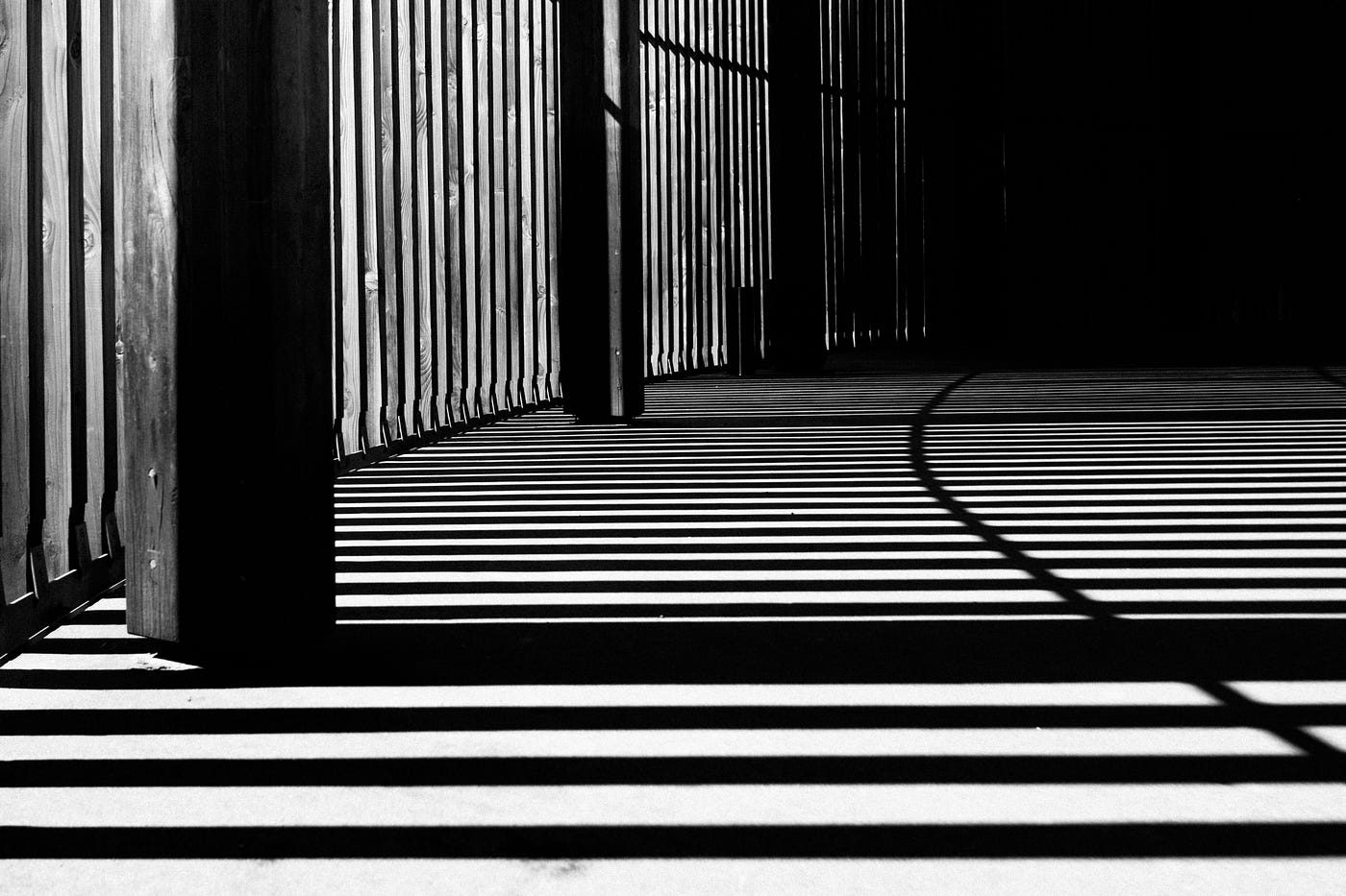 Two Ways to Check for Palindromes in JavaScript | by Sonya Moisset | We've  moved to freeCodeCamp.org/news | Medium