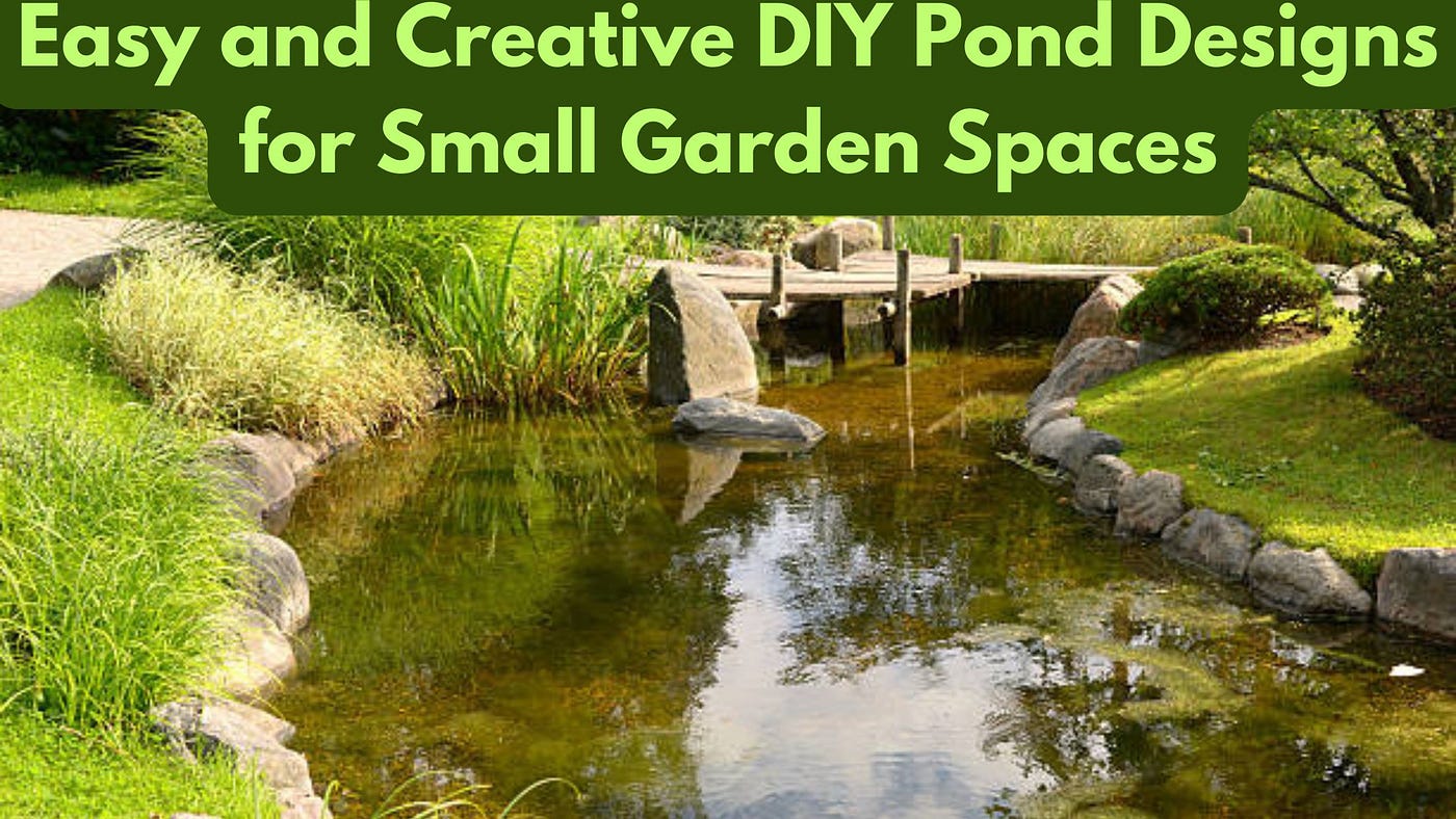 How to Design a Small Garden Pond: Expert Tips
