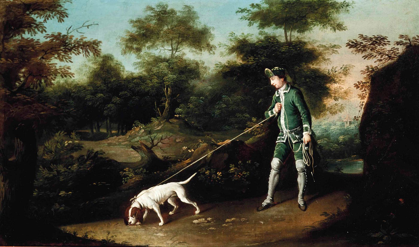 The hidden sensory world of dogs