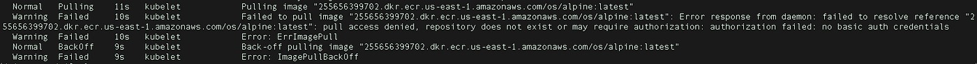 ECR-creds-refresher