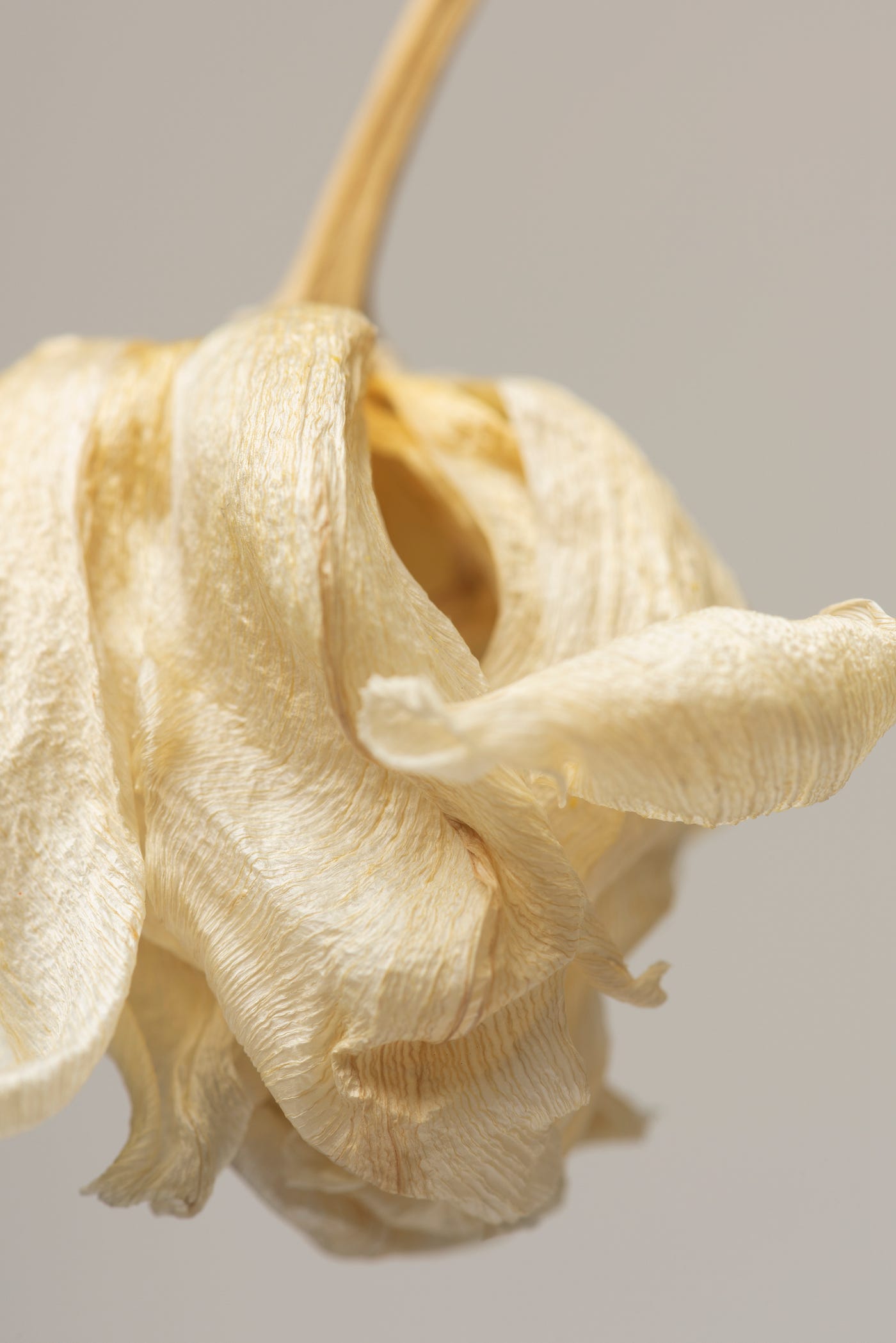 Why Designers Prefer Blended Silk Yarn Wholesale Karnataka for Premium Fabric Blends?