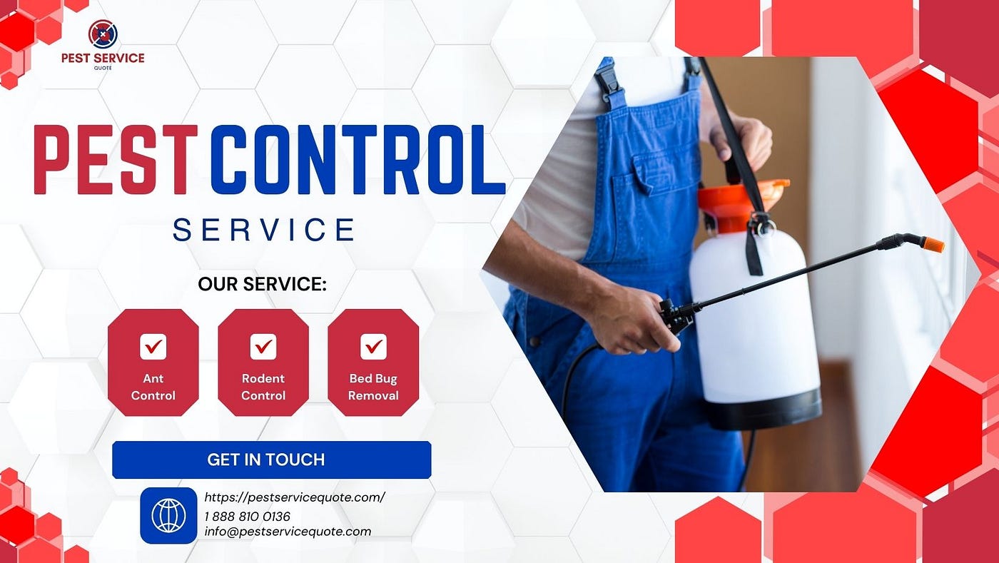 Affordable 2024 pest control