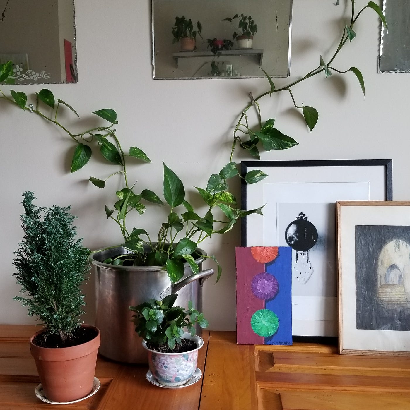 The Beginner's Houseplant Trick to Keep Your Plants Alive and Happy - That  Planty Life