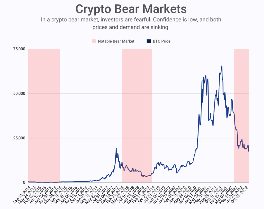 A Primer To Ups & Downs of Crypto: Bull and Bear Markets | by  Distinguishedsite | Medium