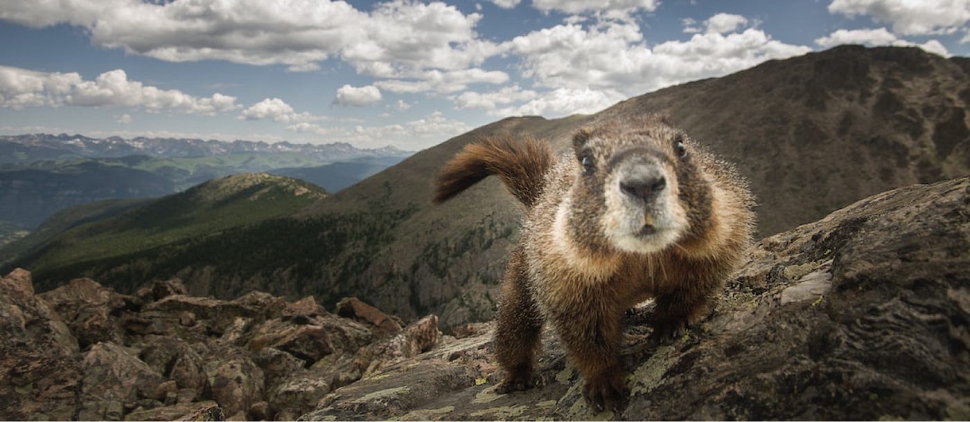 Marmot clearance mt rose