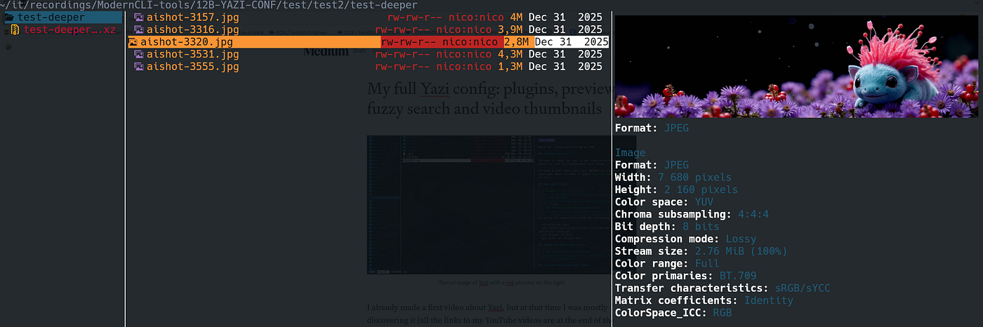 My full Yazi config: plugins, previews, fuzzy search and video thumbnails