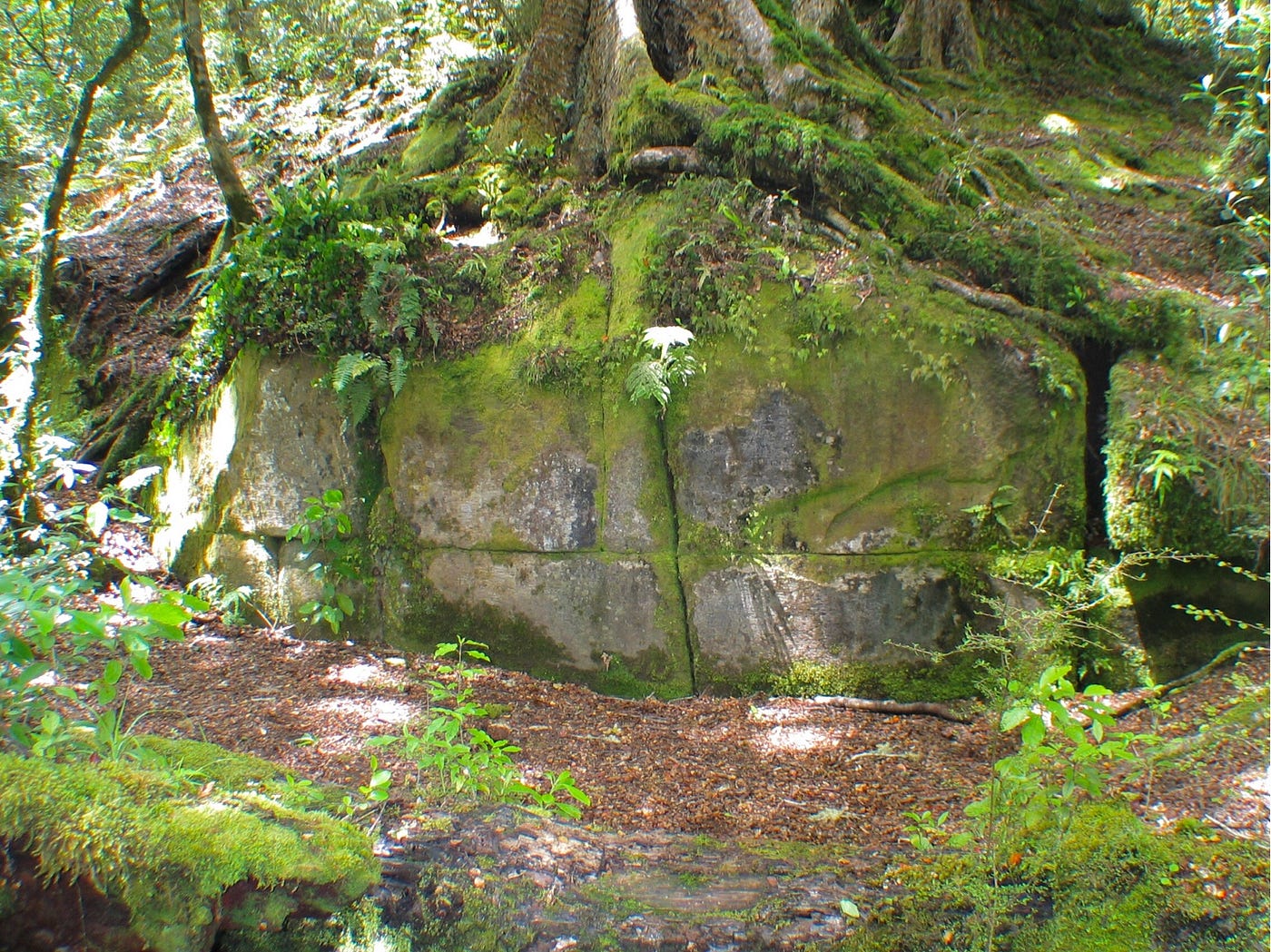 The Mysterious Kaimanawa Wall: Man-made megalithic structure or work of  nature? | by John Mills | Medium