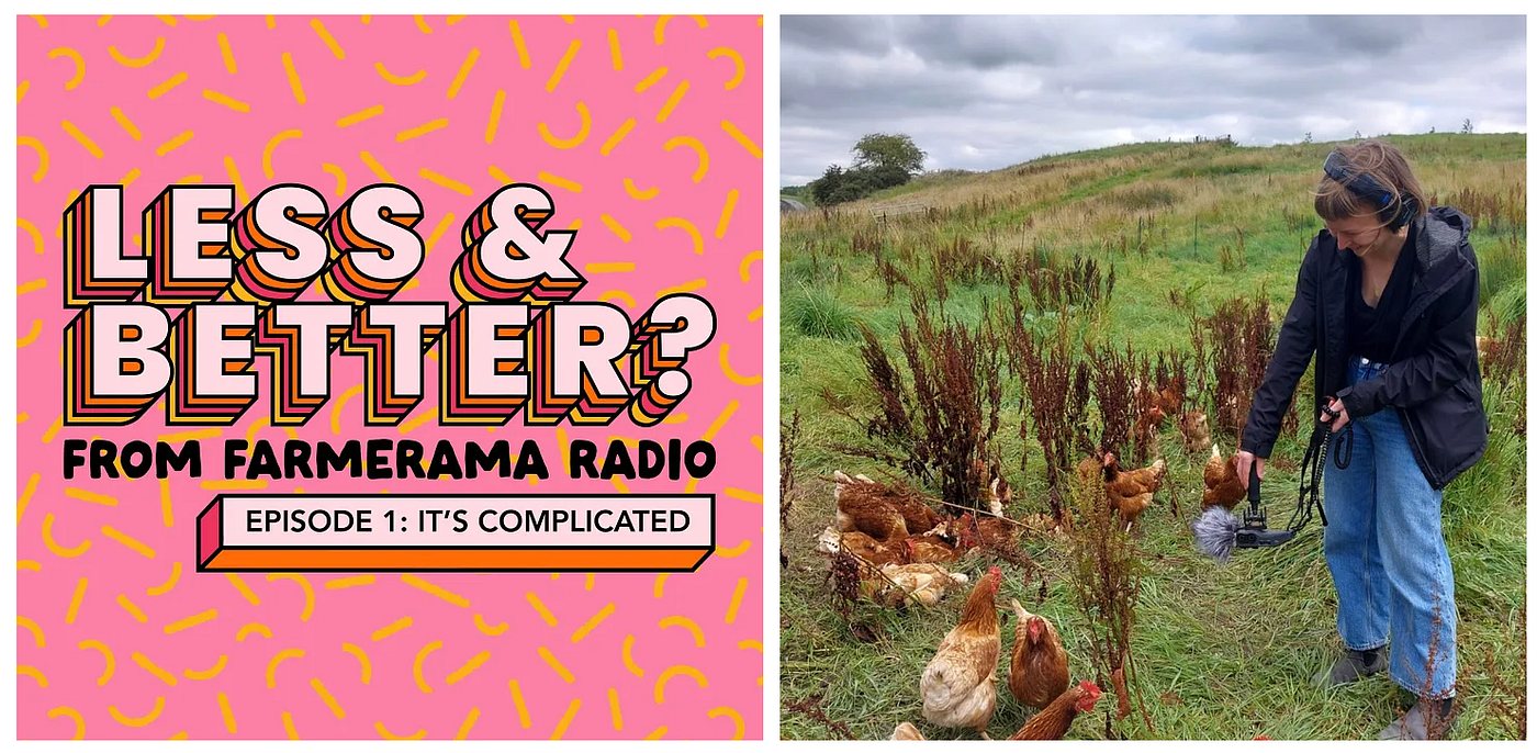 Graphic asset from the Less And Better series of Farmerama Radio, and podcast host recording audio of chickens in a field [Credit: Farmerama].