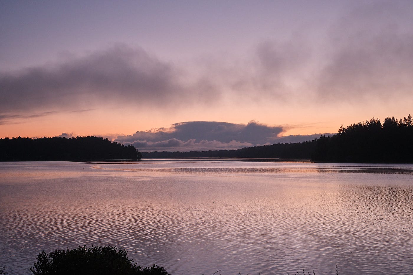 The Forests & Beaches of Olympia