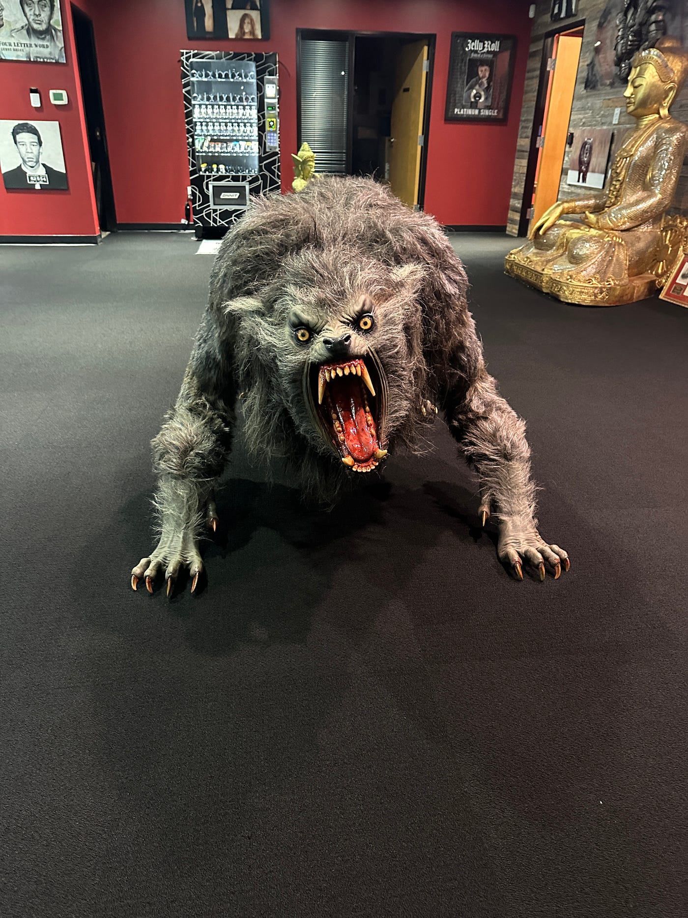 What's it like to be a guest on the Joe Rogan Experience | by Professor  Brian Keating | Medium