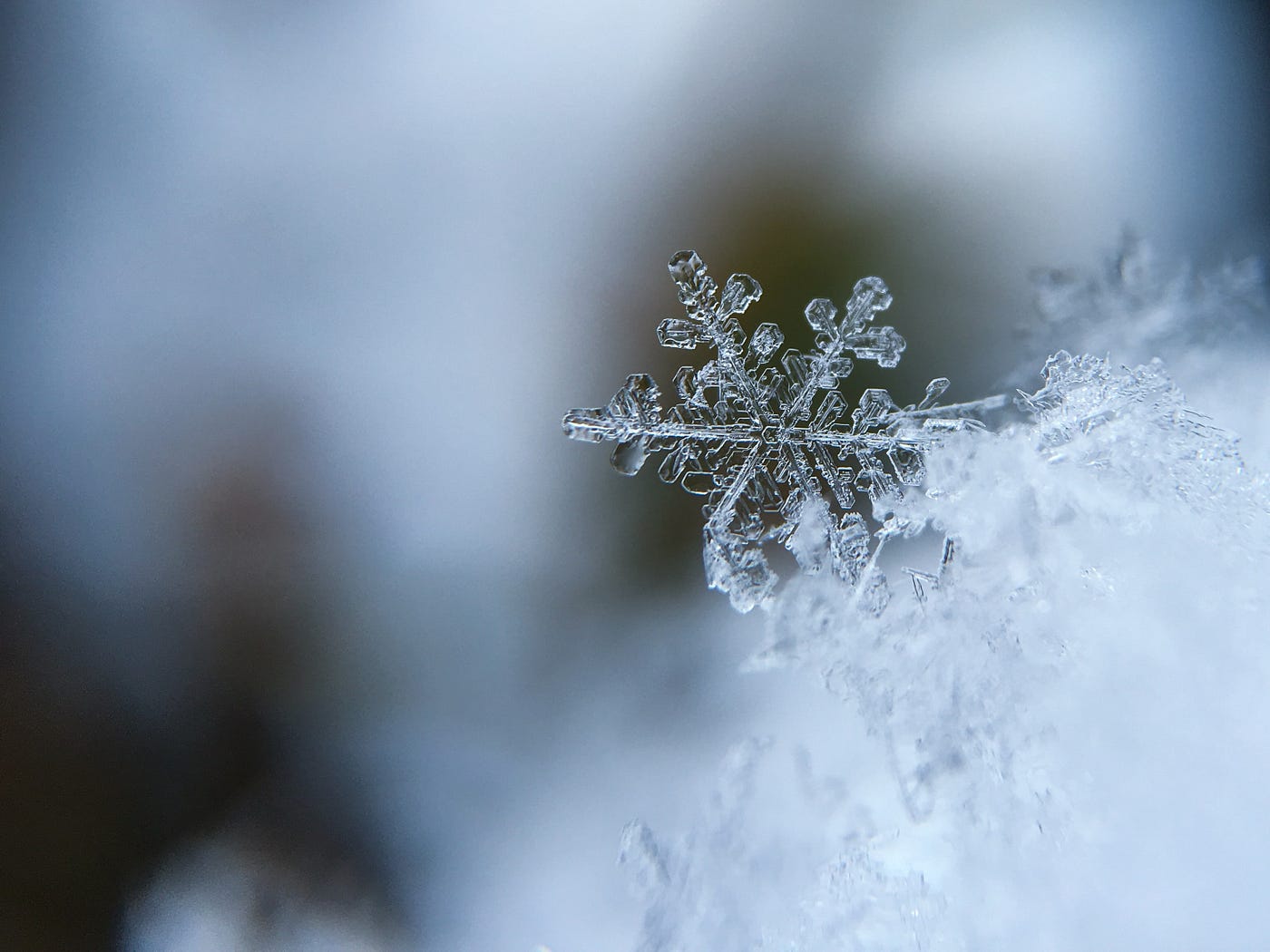 Focused image of a single snowflake.