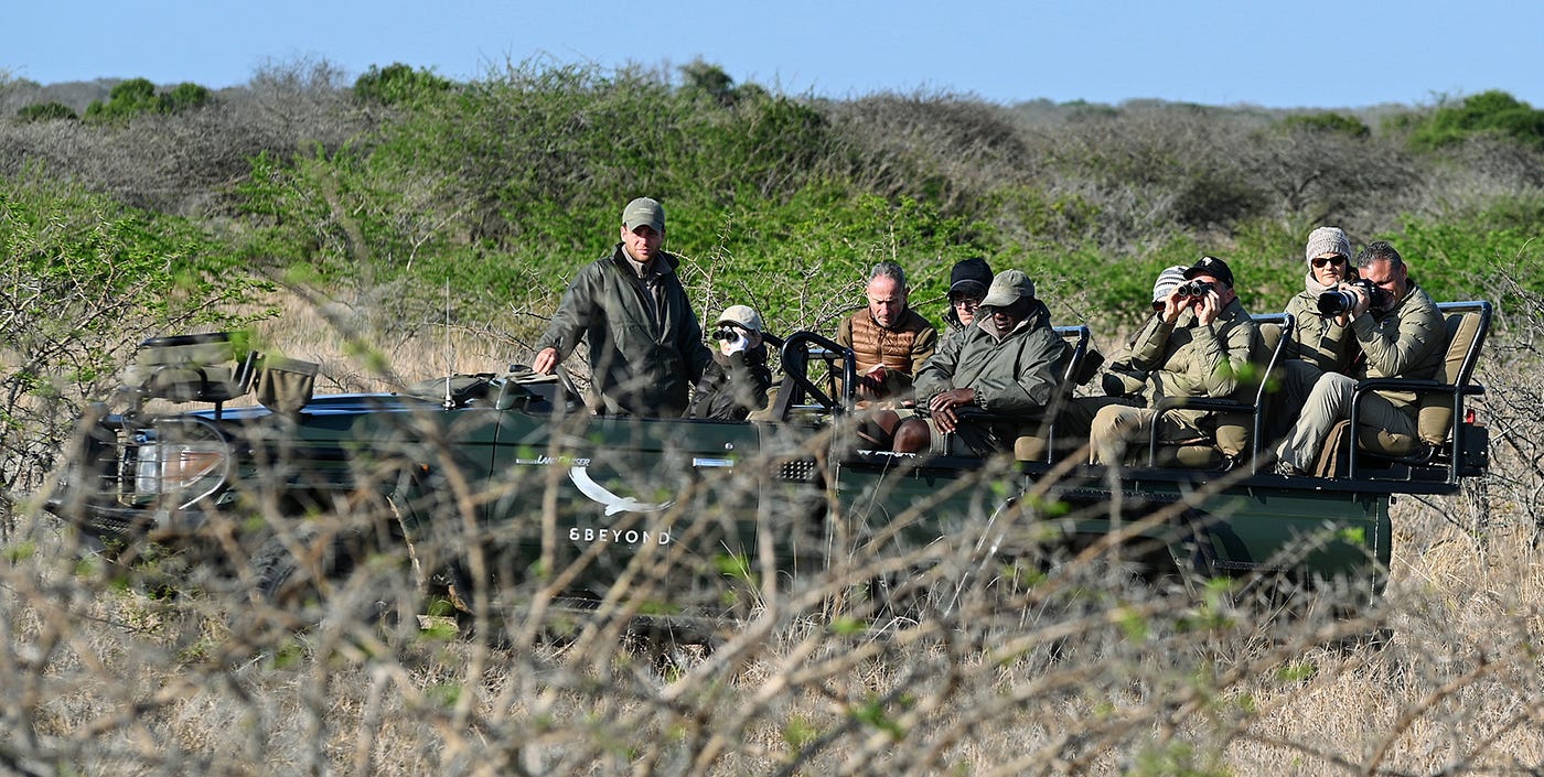 Hunting Safari Companies in the United States: Comparison, Pros, and Cons