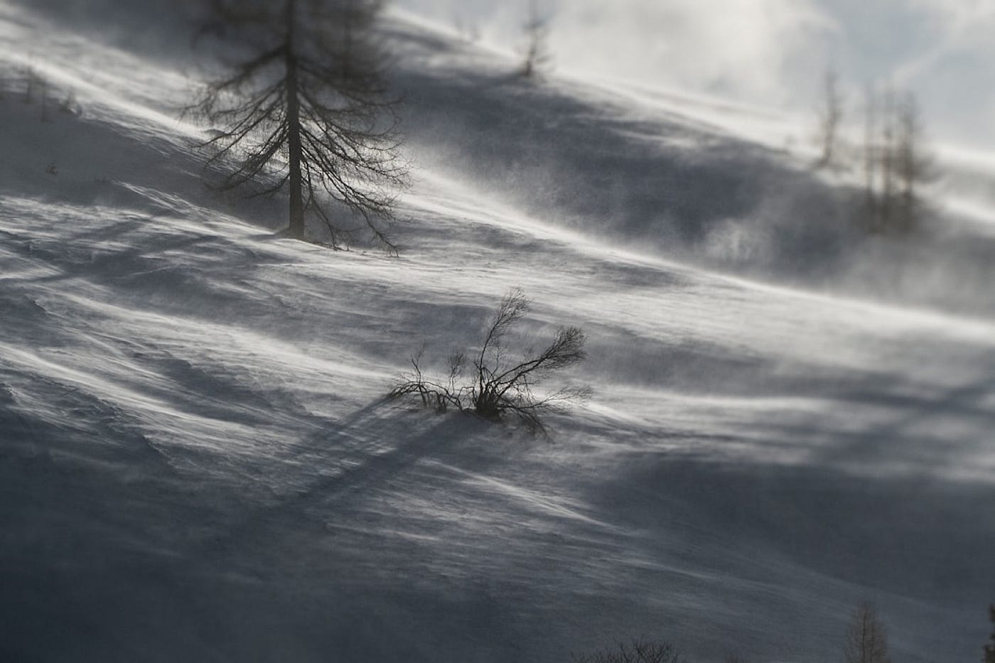 There’s Winter in Our Hearts
