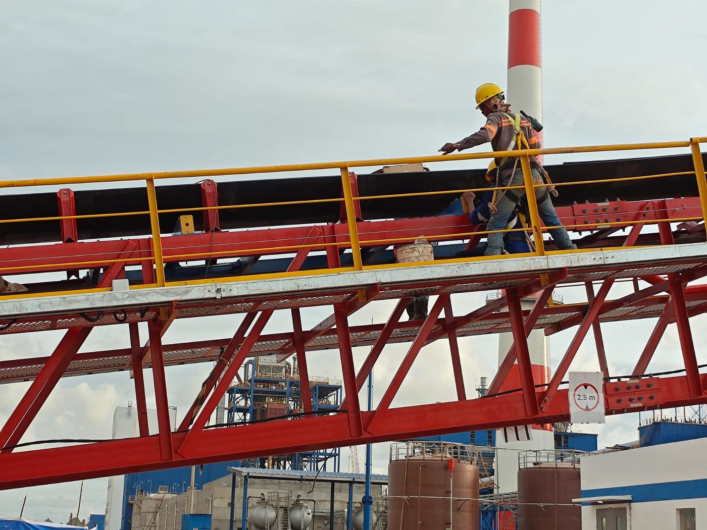 085336876699 — Weigh to meter flow rate conveyor