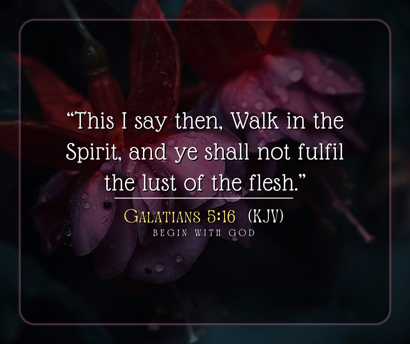 𝐒𝐩𝐢𝐫𝐢𝐭-𝐃𝐫𝐢𝐯𝐞𝐧. Walk in the Spirit; yield every fight