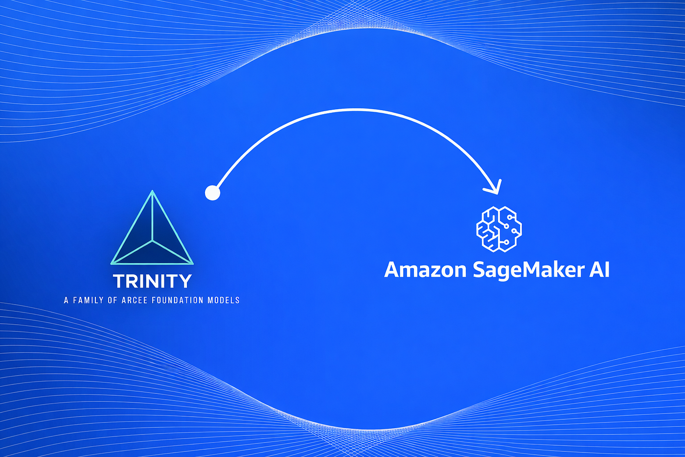 Deploying Trinity-Mini-DrugProt-Think on Amazon SageMaker AI