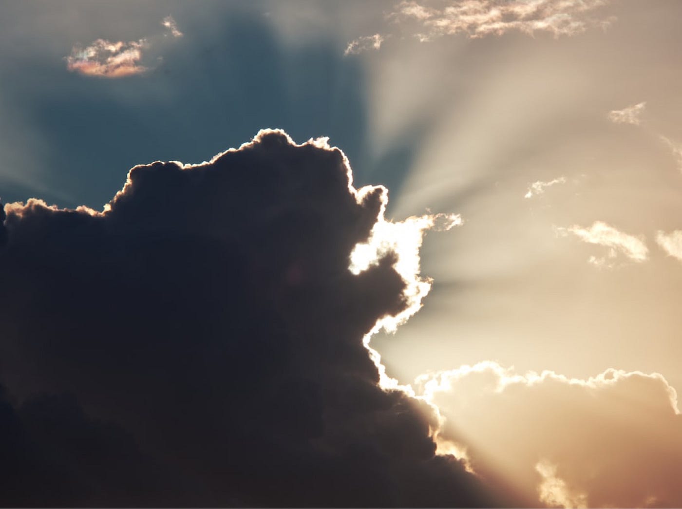 Photo by Niklas Ohlrogge (niamoh.de) on Unsplash