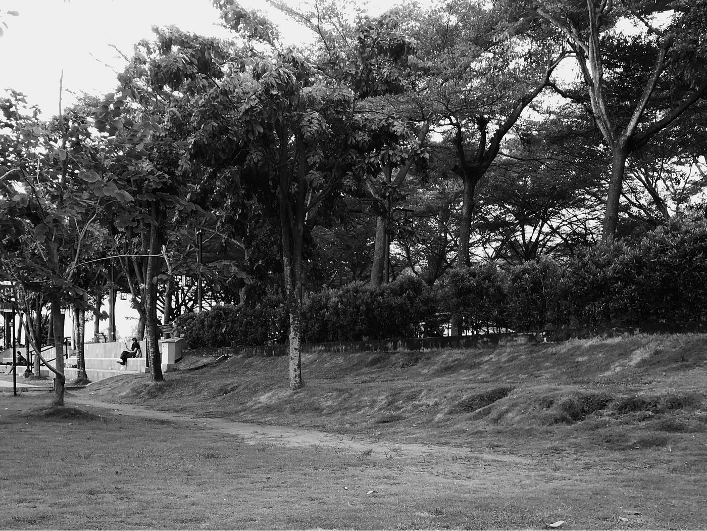 Suatu Sore di Taman