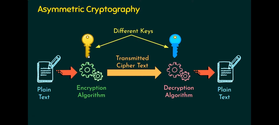 Exploring Different Types of Cryptography | by The Hackers Meetup