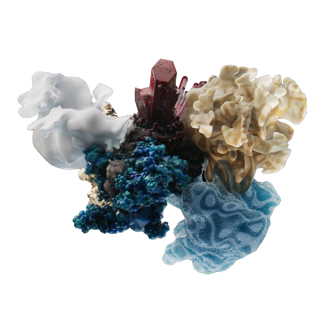 An Interview With Organic Growth: Crystal Reef | by 0xBEW | Yunt Capital