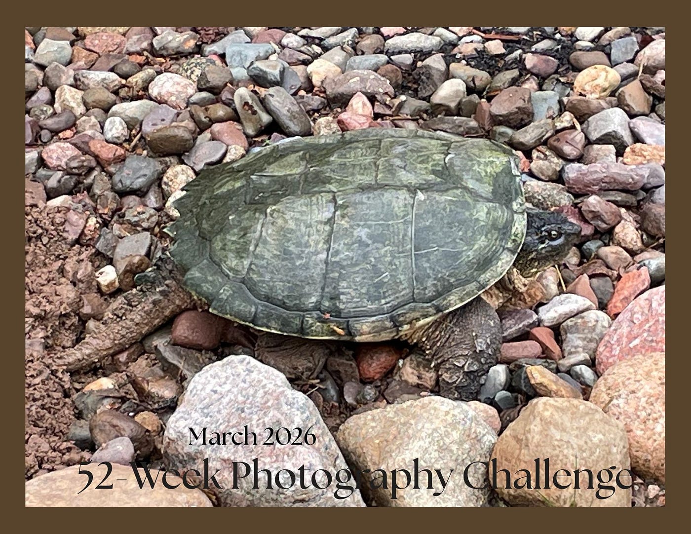 March 2026 Photography Challenge Entries for Full Frame