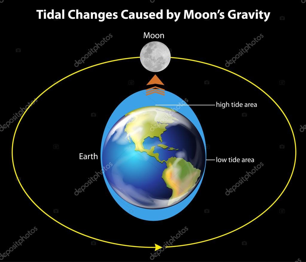 What You Didn't Know You Wanted To Know: The Surprisingly Elegant Physics  behind Tides | by Abdullah Almomtan | Medium, image size:1023x877