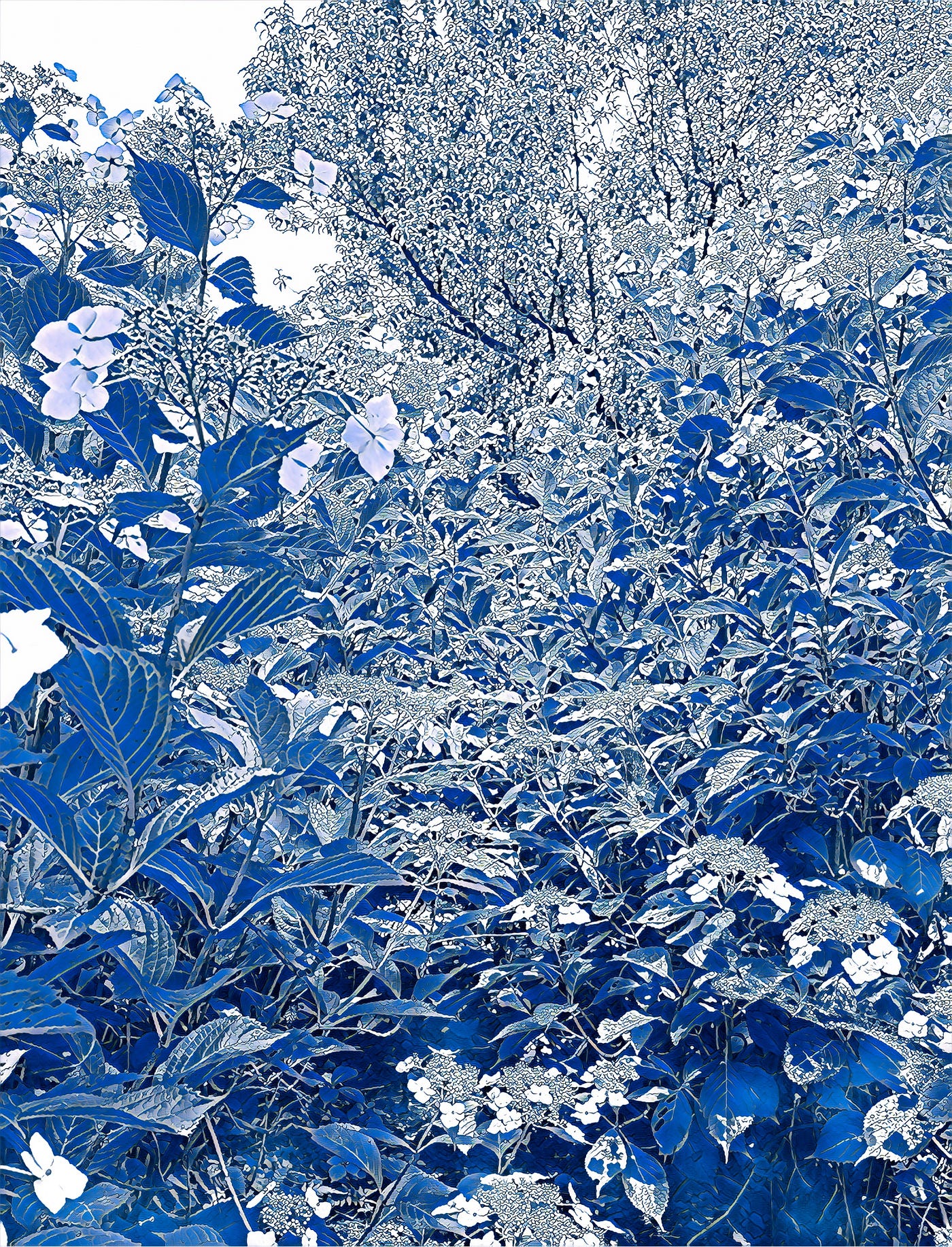 When Blue Becomes Silence