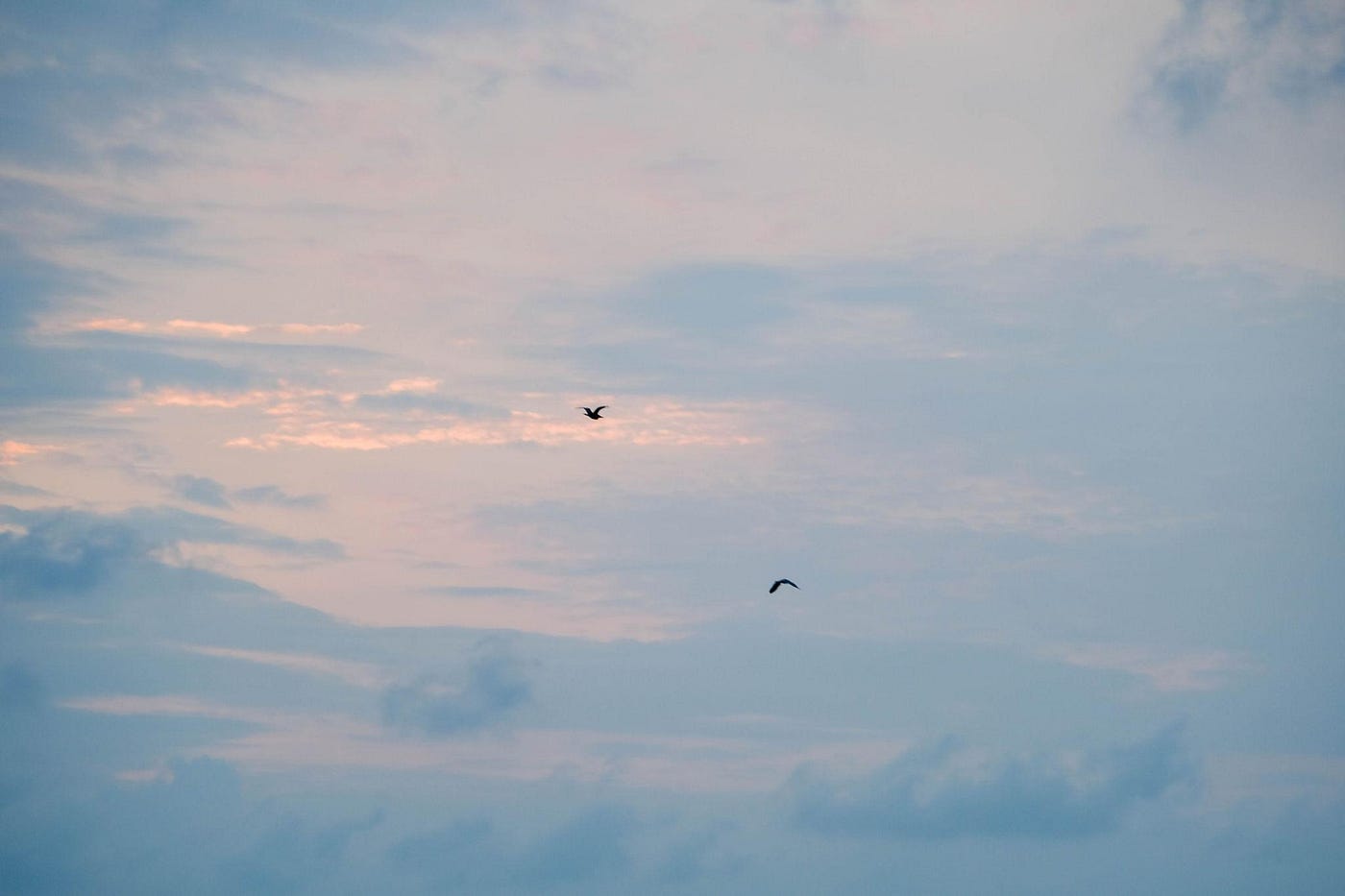 Two tiny birds, one big belief, and a sprinkle of good luck.