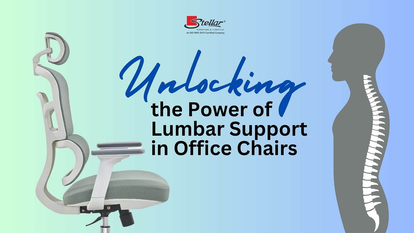 Best Office Ergonomic Lumbar Support Office Chair -Black
