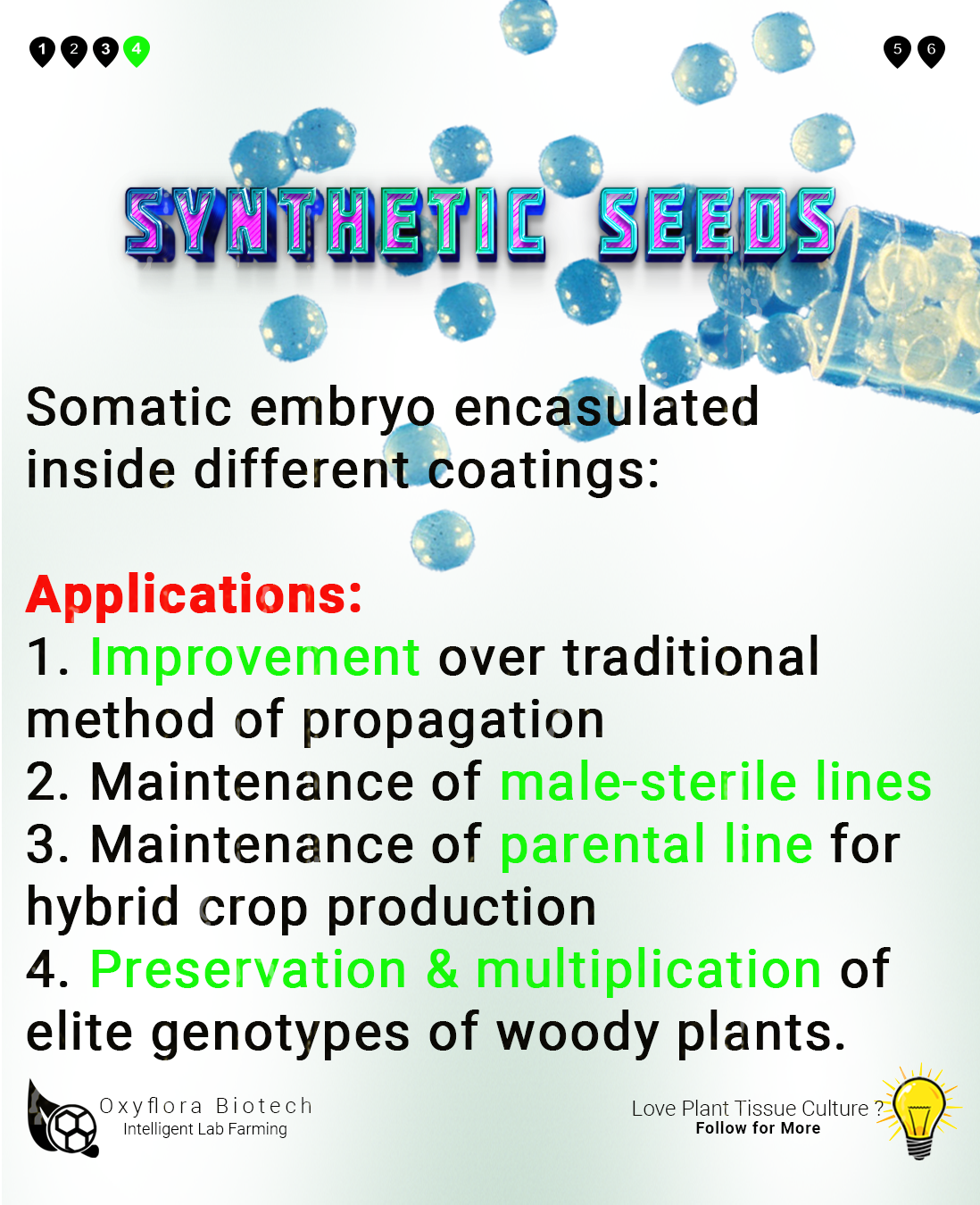 Plant Tissue Culture benefits in Crop Improvement | by Oxyflora Biotech |  Medium | Medium