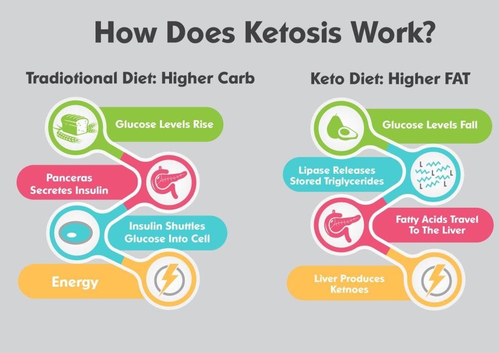 Image result for Keto 101: Beginner Diet Plan Guide infographics
