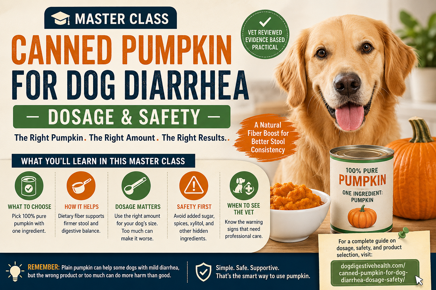 Canned pumpkin for dog diarrhea dosage and safety infographic showing a golden retriever, 100% pure…
