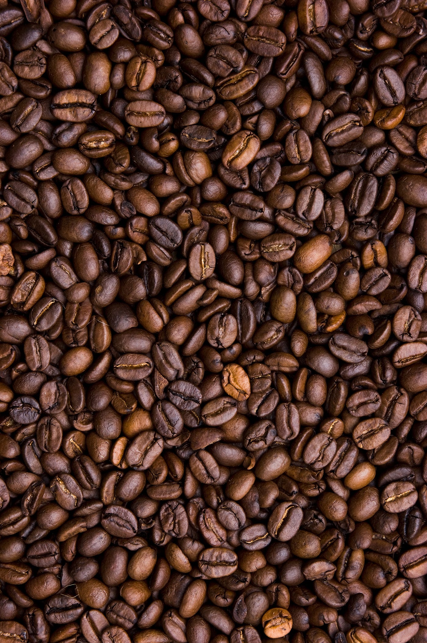 Elevate Your Coffee Packaging with ZOMUKIKAI’s Pouch Packing Machines