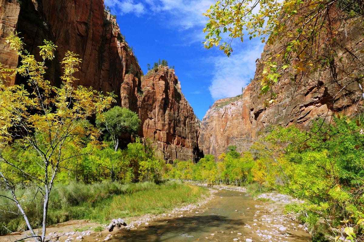 Zion National Park: A Nature Lover's Paradise | by Travel Guide | Medium