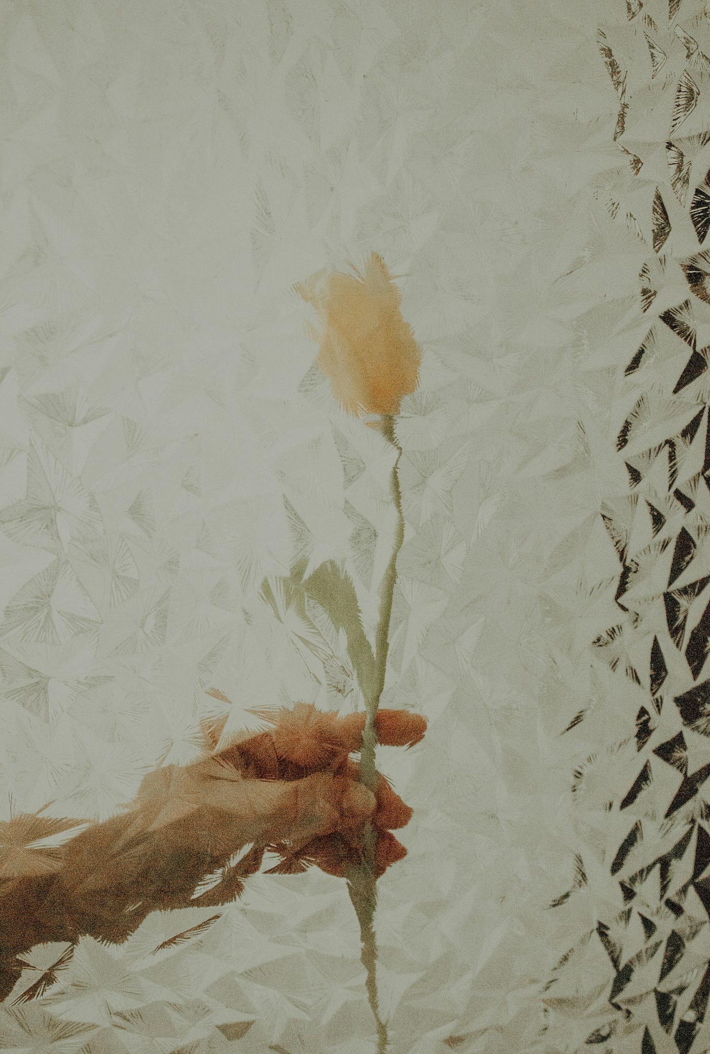 Walking the Path of Love